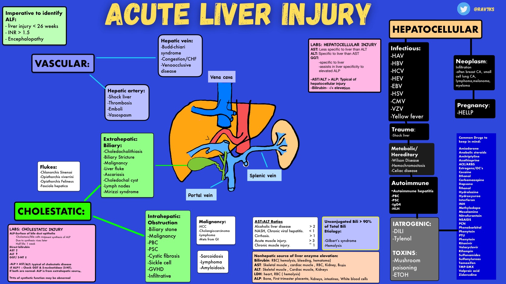 Differential Diagnosis Of Acute Kidney Injury Diagnos Vrogue co