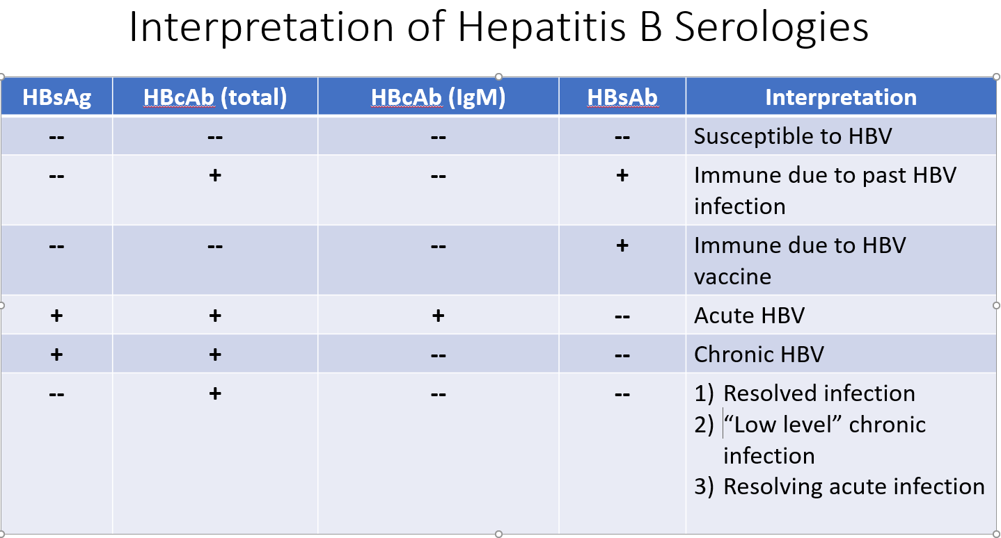 Hepatitis B Blood Interpretation Hepatitis B Blood Interpretation