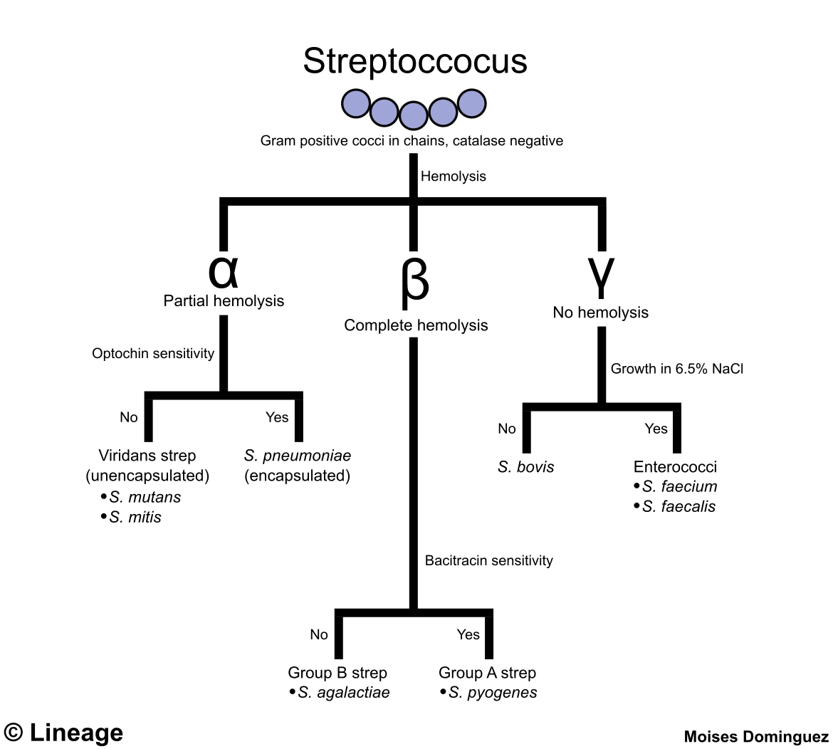 Serologically Means