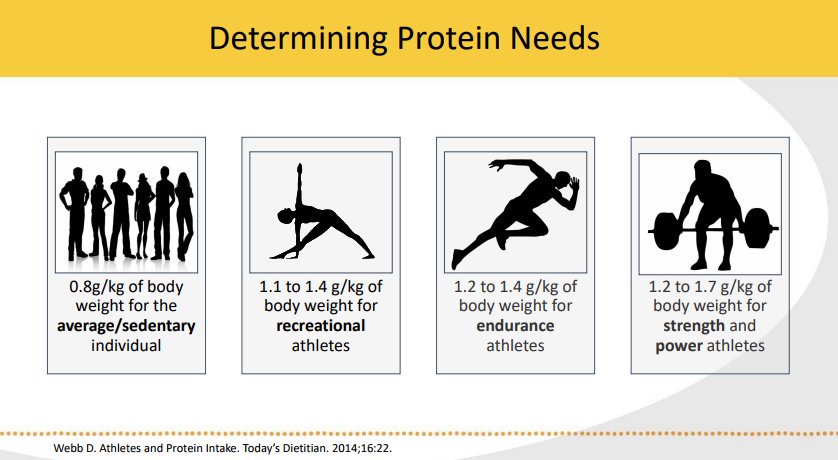 Protein Requirements