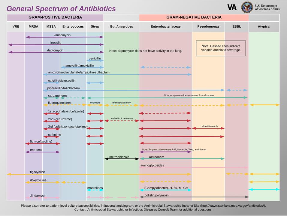 Antibiotics Spectrum And Coverage Antibiogram Antibiogram GrepMed Antibiotics Spectrum And Coverage Antibiogram Antibiogram GrepMed