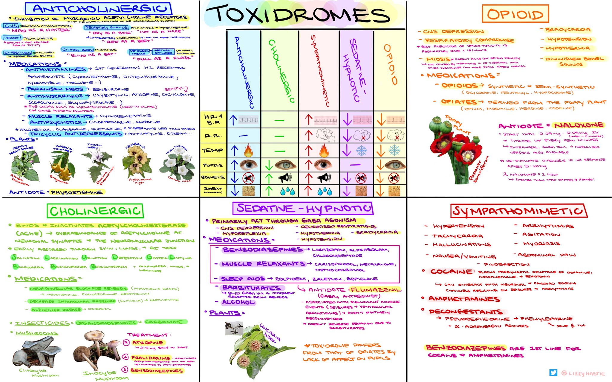 Toxidromes Anticholinergic Cholinergic GrepMed Toxidromes Anticholinergic Cholinergic GrepMed
